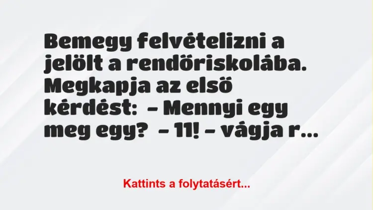 Vicc: Bemegy felvételizni a jelölt a rendőriskolába.