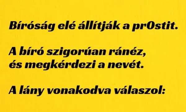 Vicc: Bíróság elé állítják a pr0stit