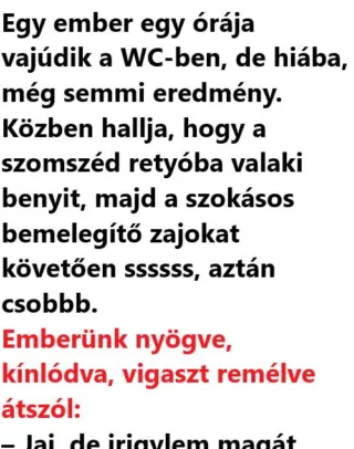 Vicc: Egy ember egy órája vajúdik a WC-ben, de hiába