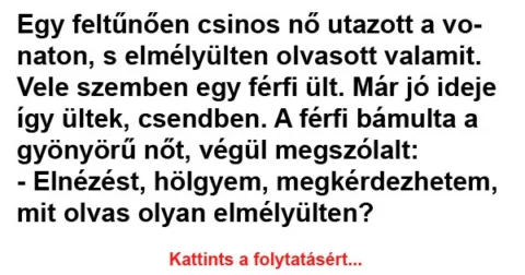 Vicc: Egy feltűnően csinos nő utazott a vonaton Vicc: Egy feltűnően csinos nő utazott a vonaton