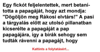 Vicc: Egy fickót feljelentettek, mert betanította a papagáját