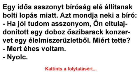 Vicc: Egy idős asszonyt bíróság elé állítanak bolti lopás miatt