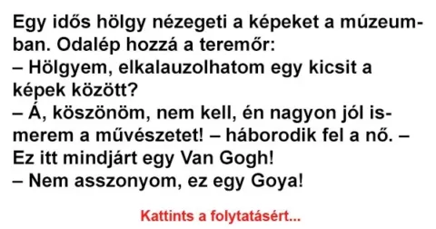 Vicc: Egy idős hölgy nézegeti a képeket a múzeumban