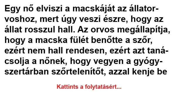 Vicc: Egy nő elviszi a macskáját az állatorvoshoz Vicc: Egy nő elviszi a macskáját az állatorvoshoz