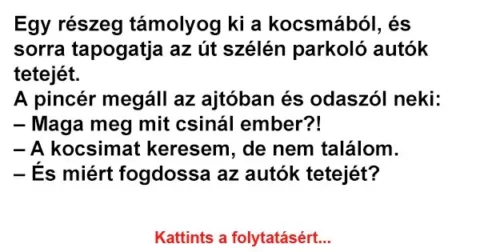 Vicc: Egy részeg támolyog ki a kocsmából, és sorra tapogatja az út szélén…