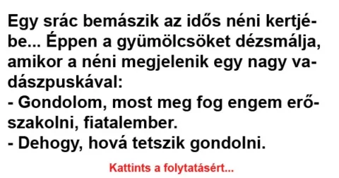 Vicc: Egy srác bemászik az idős néni kertjébe