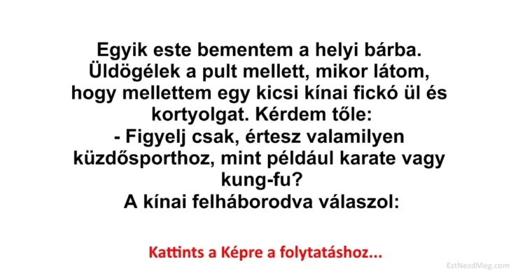 Vicc: Egyik este bementem a helyi bárba Vicc: Egyik este bementem a helyi bárba