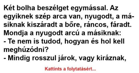 Vicc: Két bolha beszélget egymással Vicc: Két bolha beszélget egymással