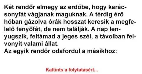Vicc: Két rendőr elmegy az erdőbe, hogy karácsonyfát vágjanak maguknak