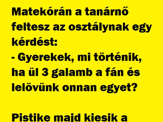 Vicc: Matekórán a tanárnő feltesz az osztálynak egy kérdést Vicc: Matekórán a tanárnő feltesz az osztálynak egy kérdést