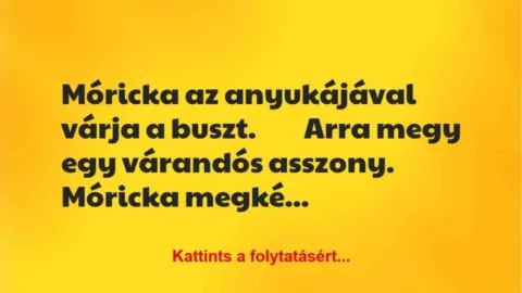 Vicc: Móricka az anyukájával várja a buszt