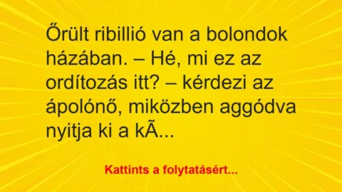 Vicc: Őrült ribillió van a bolondok házában.