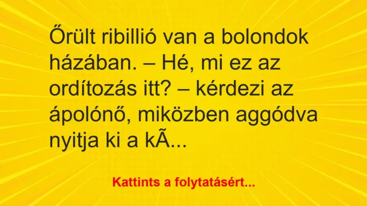 Vicc: Őrült ribillió van a bolondok házában.