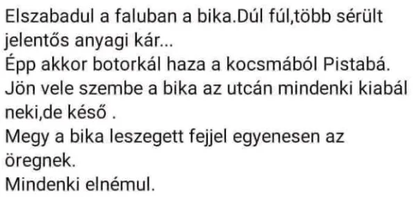Vicc: Pista bácsi szembe kerül egy tomboló bikával