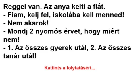 Vicc: Reggel van. Az anya kelti a fiát.