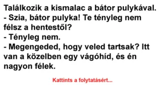 Vicc: Találkozik a kismalac a bátor pulykával