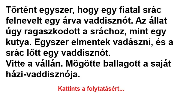 Vicc: Történt egyszer, hogy egy fiatal srác felnevelt egy árva Vicc: Történt egyszer, hogy egy fiatal srác felnevelt egy árva vaddisznót