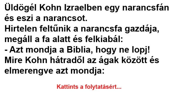 Vicc: Üldögél Kohn Izraelben egy narancsfán és eszi a narancsot Vicc: Üldögél Kohn Izraelben egy narancsfán és eszi a narancsot