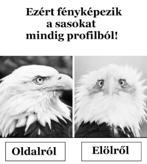Vicces képek – 1740855603