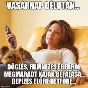 Vicces képek – 1740924007
