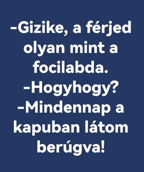 Vicces képek – 1740981600