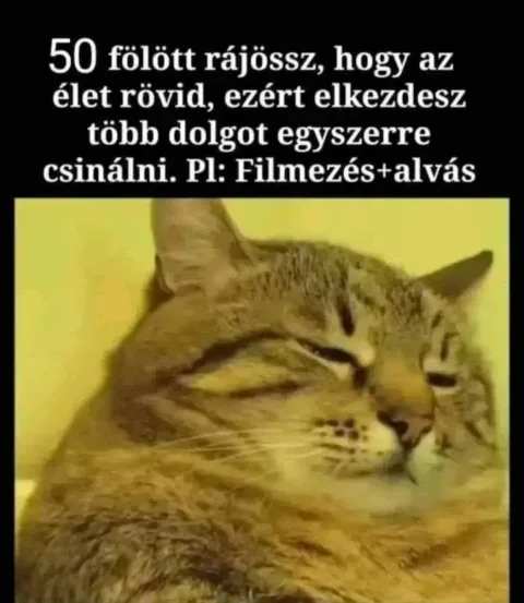 Vicces képek – 1741287636