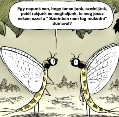 Vicces képek – 1741337353