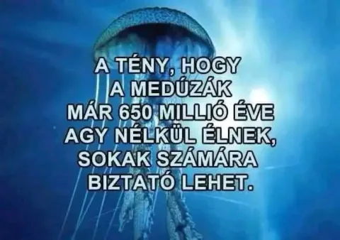 Vicces képek – 1741417213