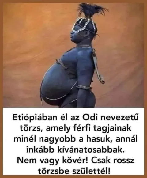 Vicces képek – 1741453208