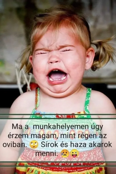 Vicces képek – 1741586407