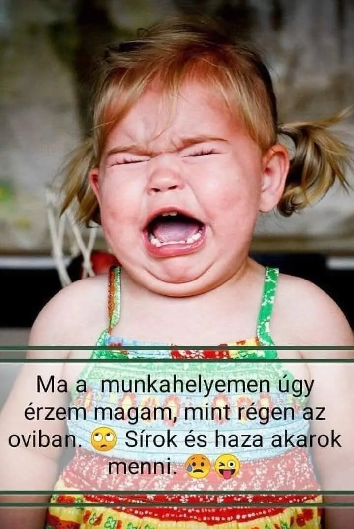 Vicces képek - 1741586407 Vicces képek – 1741586407