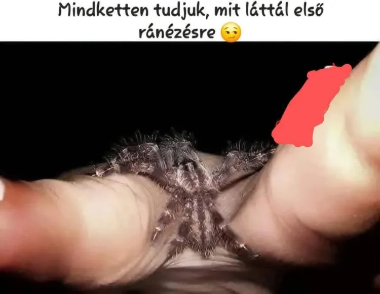 Vicces képek - 1741683506 Vicces képek – 1741683506