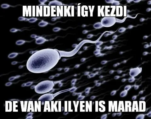 Vicces képek – 1741712411