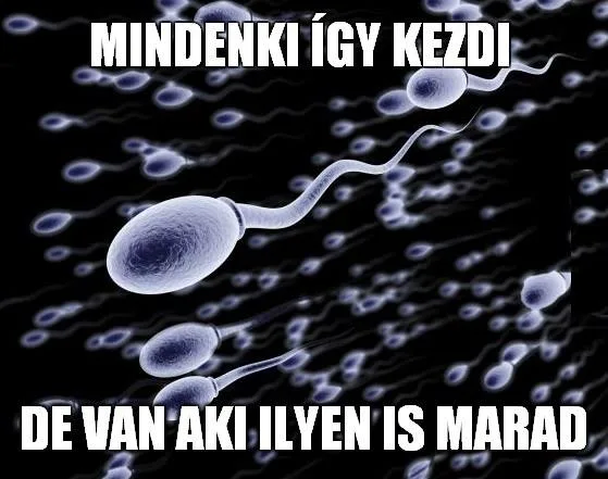 Vicces képek - 1741712411 Vicces képek – 1741712411
