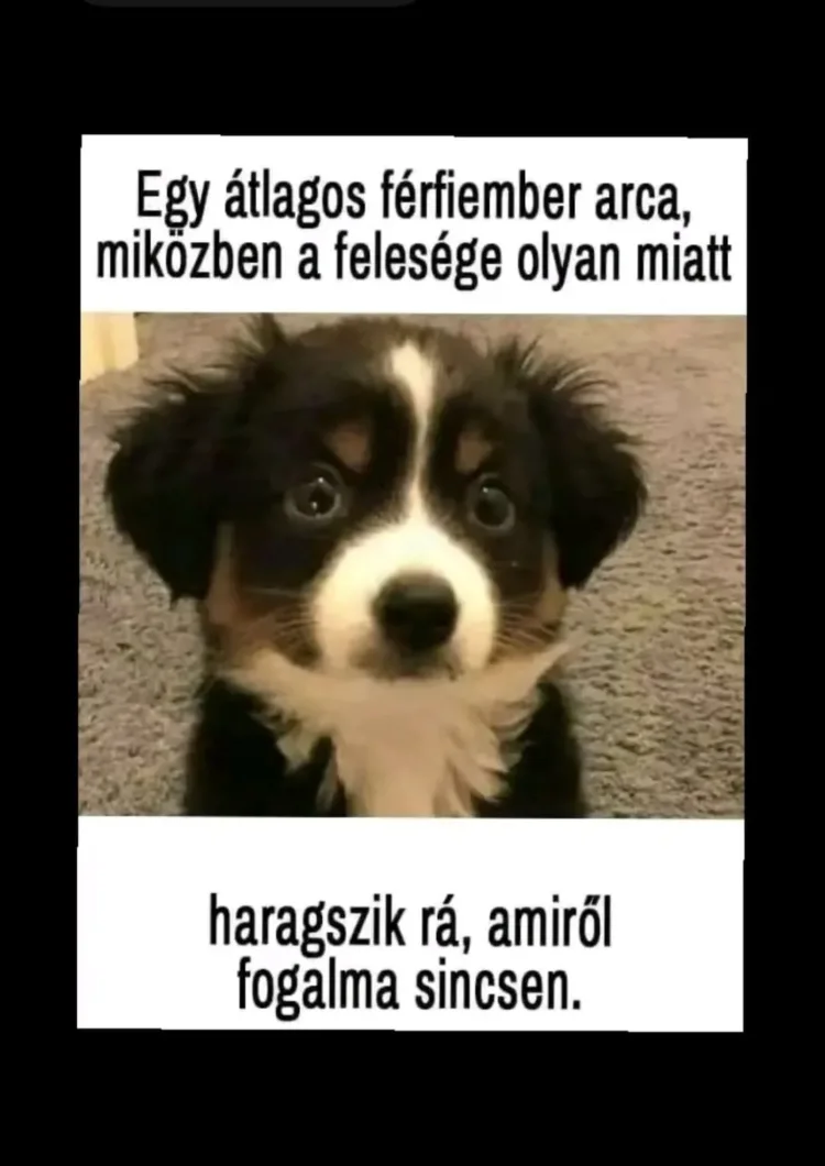 Vicces képek - 1741716010 Vicces képek – 1741716010