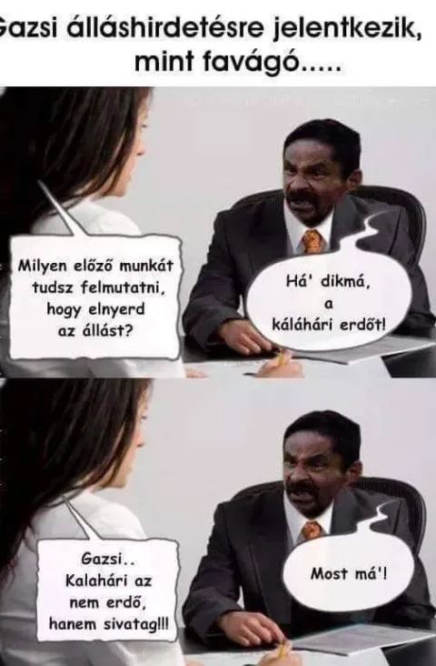Vicces képek – 1741762807
