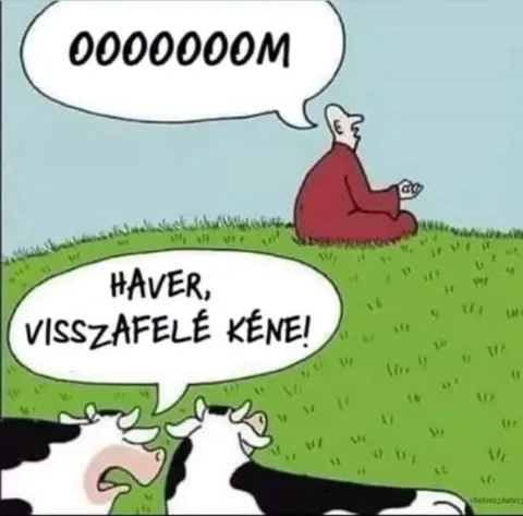 Vicces képek – 1741943189