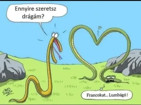Vicces képek – 1741951806