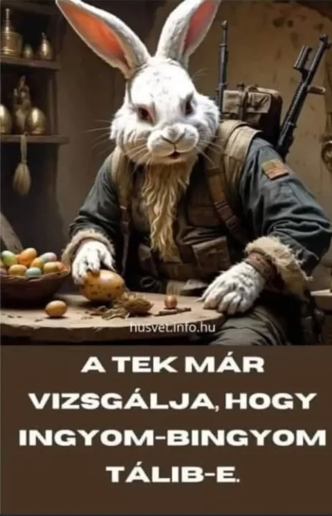 Vicces képek – 1741957341