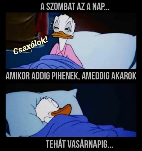 Vicces képek – 1742022016