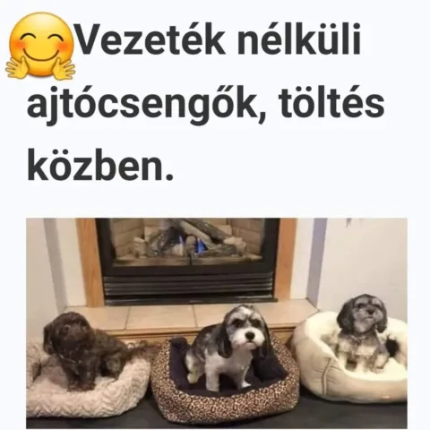 Vicces képek – 1742038204