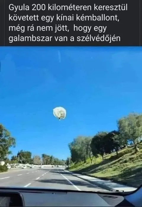 Vicces képek – 1742191233