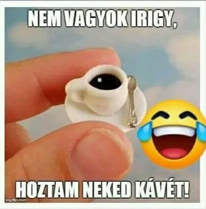 Vicces képek – 1742196807