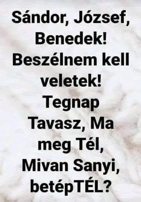 Vicces képek – 1742211557