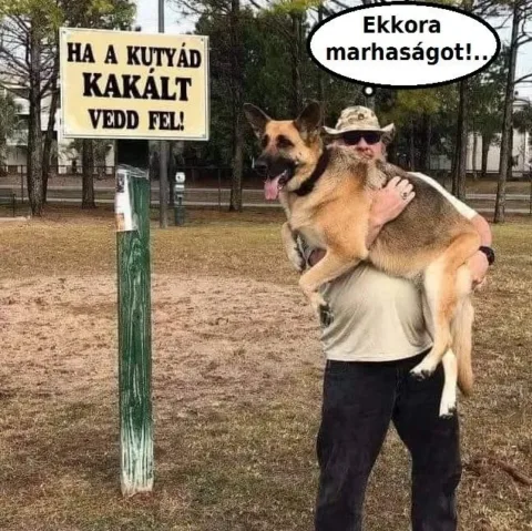 Vicces képek – 1742221362