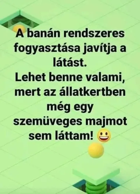Vicces képek – 1742297403