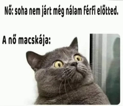 Vicces képek – 1742324501