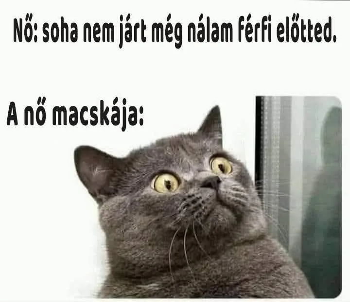 Vicces képek - 1742324501 Vicces képek – 1742324501