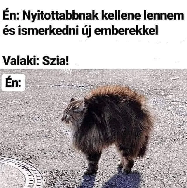 Vicces képek - 1742387185 Vicces képek – 1742387185