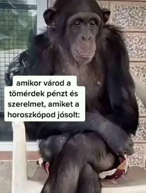 Vicces képek – 1742576412